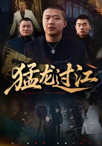 猛龙过江海报