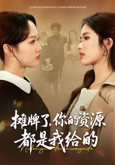 摊牌了，你的资源都是我给的海报