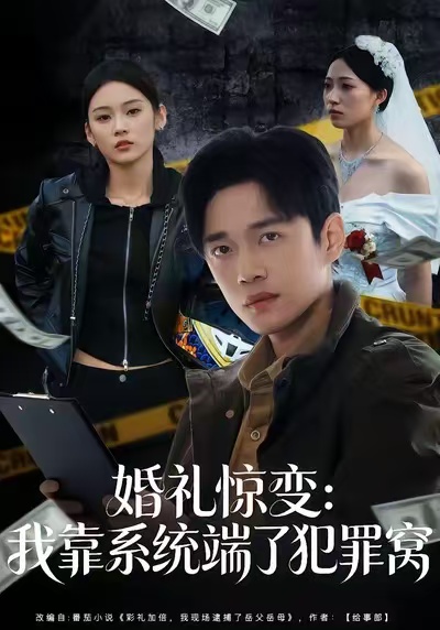 婚礼惊变：我靠系统端了犯罪窝海报