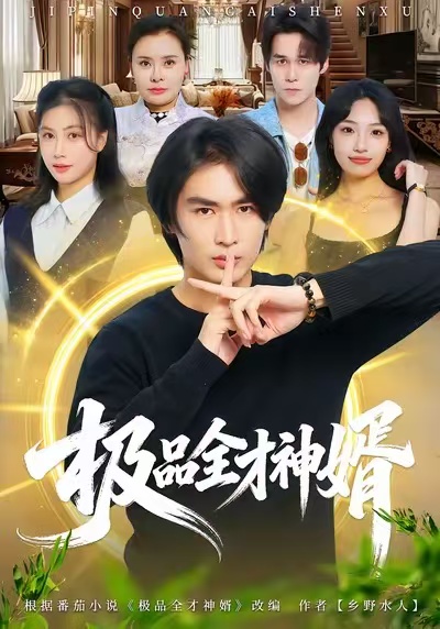 极品全才神婿海报