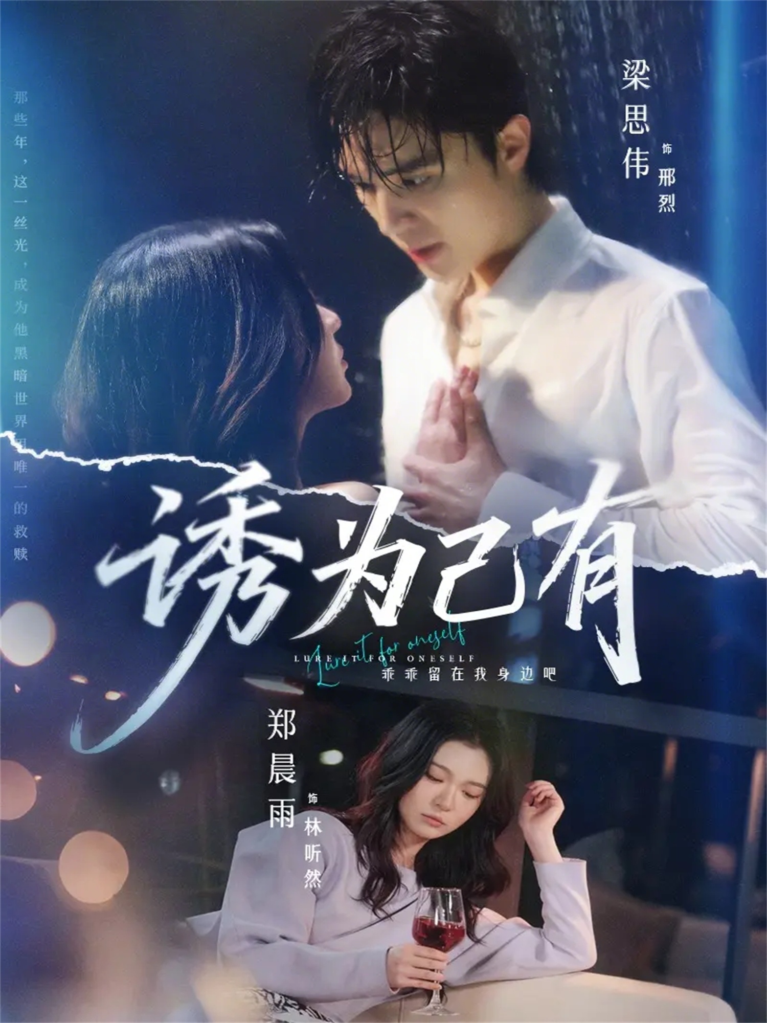 诱为己有海报