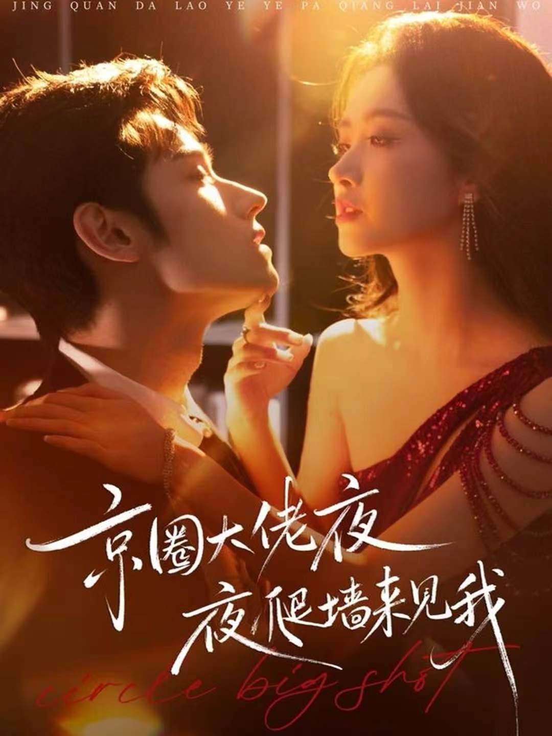 京圈大佬夜夜爬墙来见我海报