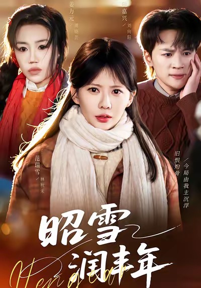 昭雪润丰年海报