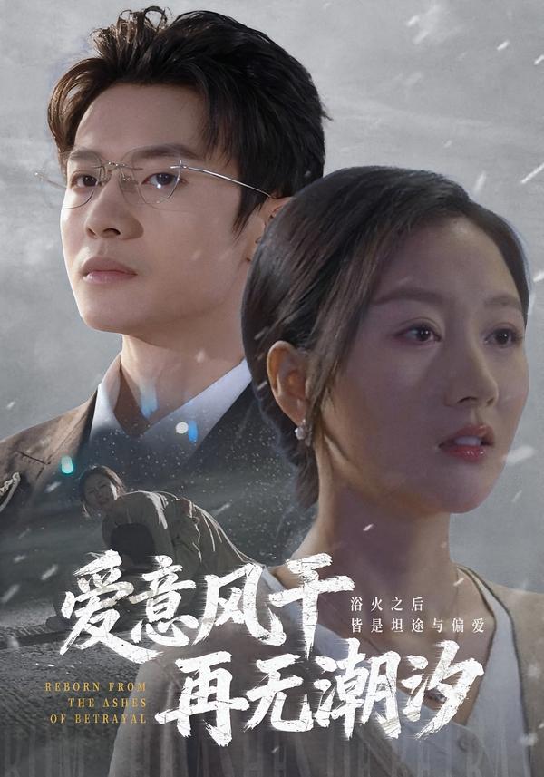 爱意风干再无潮汐海报