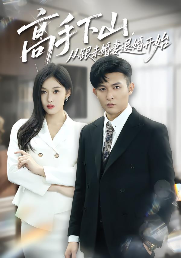高手下山，从跟未婚妻退婚开始海报