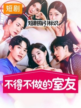 不得不做的室友2海报