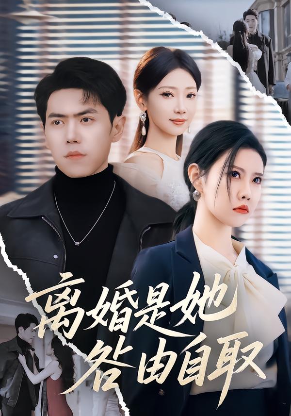 离婚是她咎由自取海报