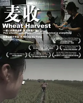 麦收海报