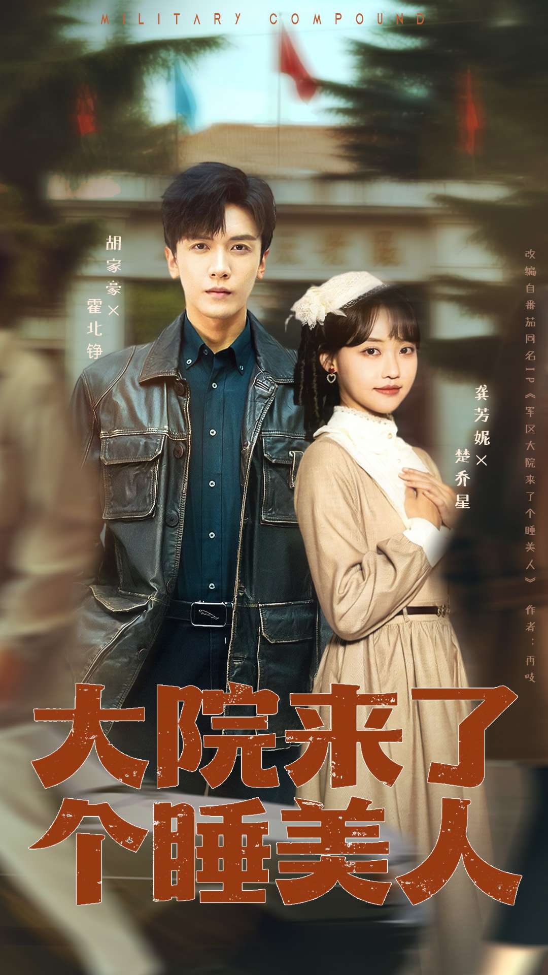 大院来了个睡美人100集版海报