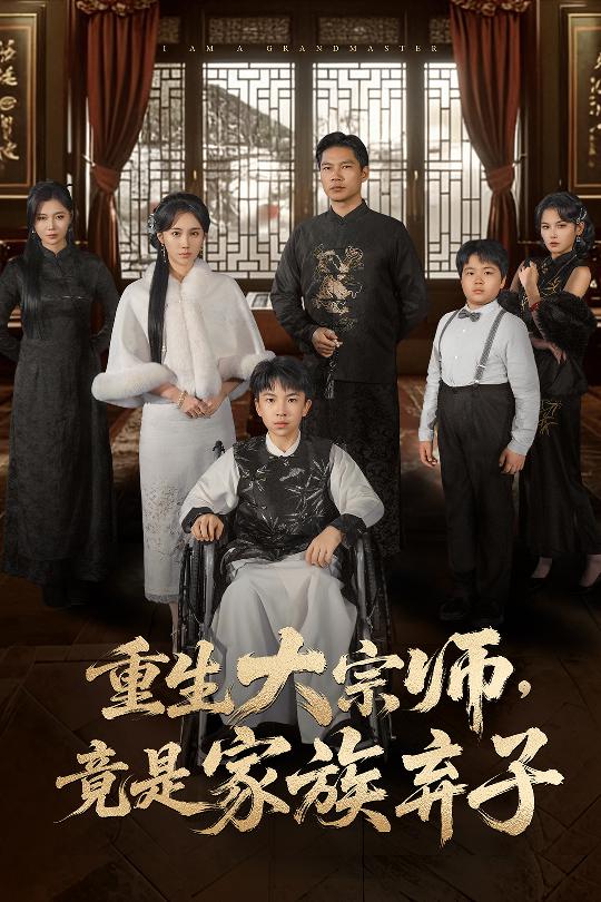 重生大宗师，竟是家族弃子海报