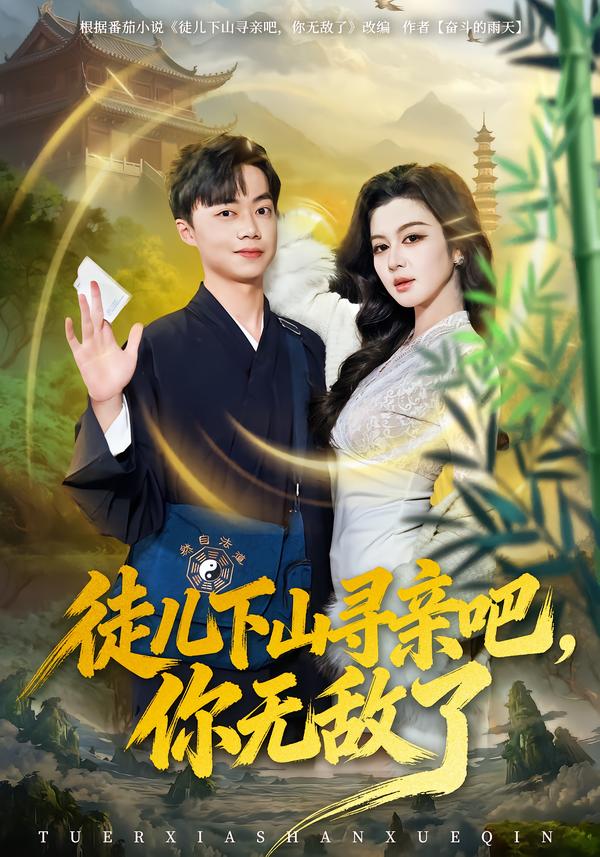 徒儿下山寻亲吧，你无敌了海报