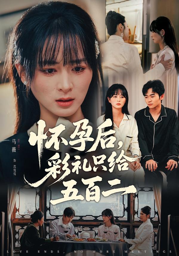 怀孕后，彩礼只给五百二海报