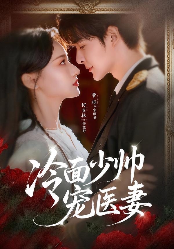 冷面少帅宠医妻海报
