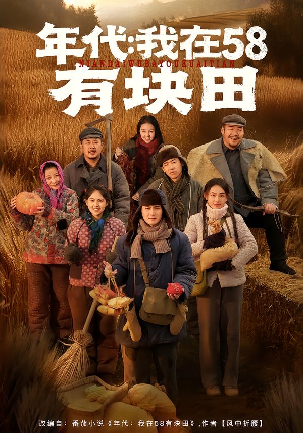 年代我在58有块田海报