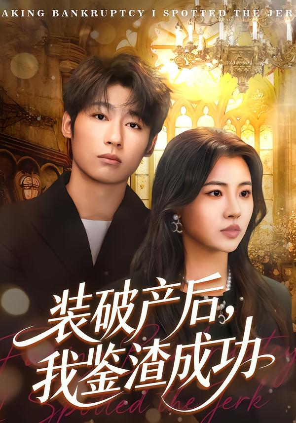 装破产后，我鉴渣成功海报
