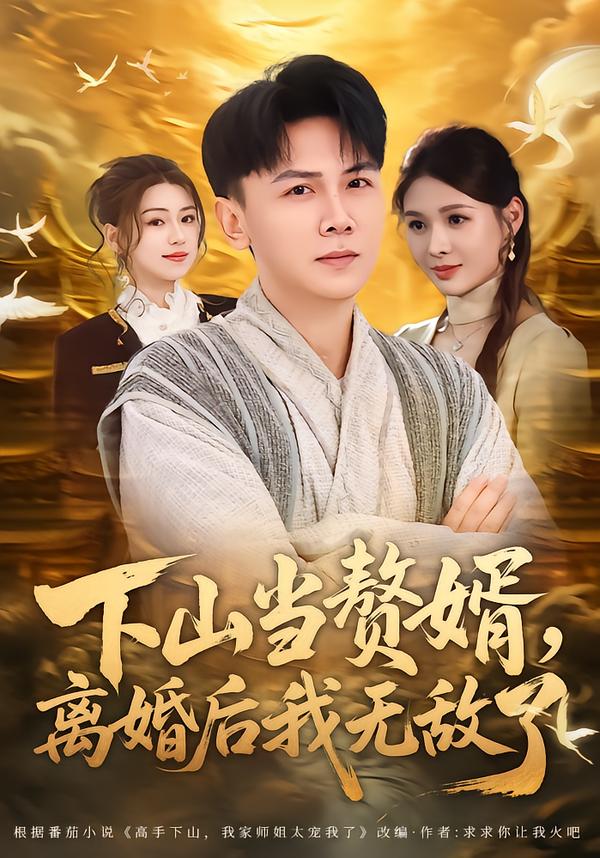 下山当赘婿，离婚后我无敌了海报