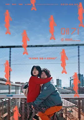 鲶鱼美琪[电影解说]海报