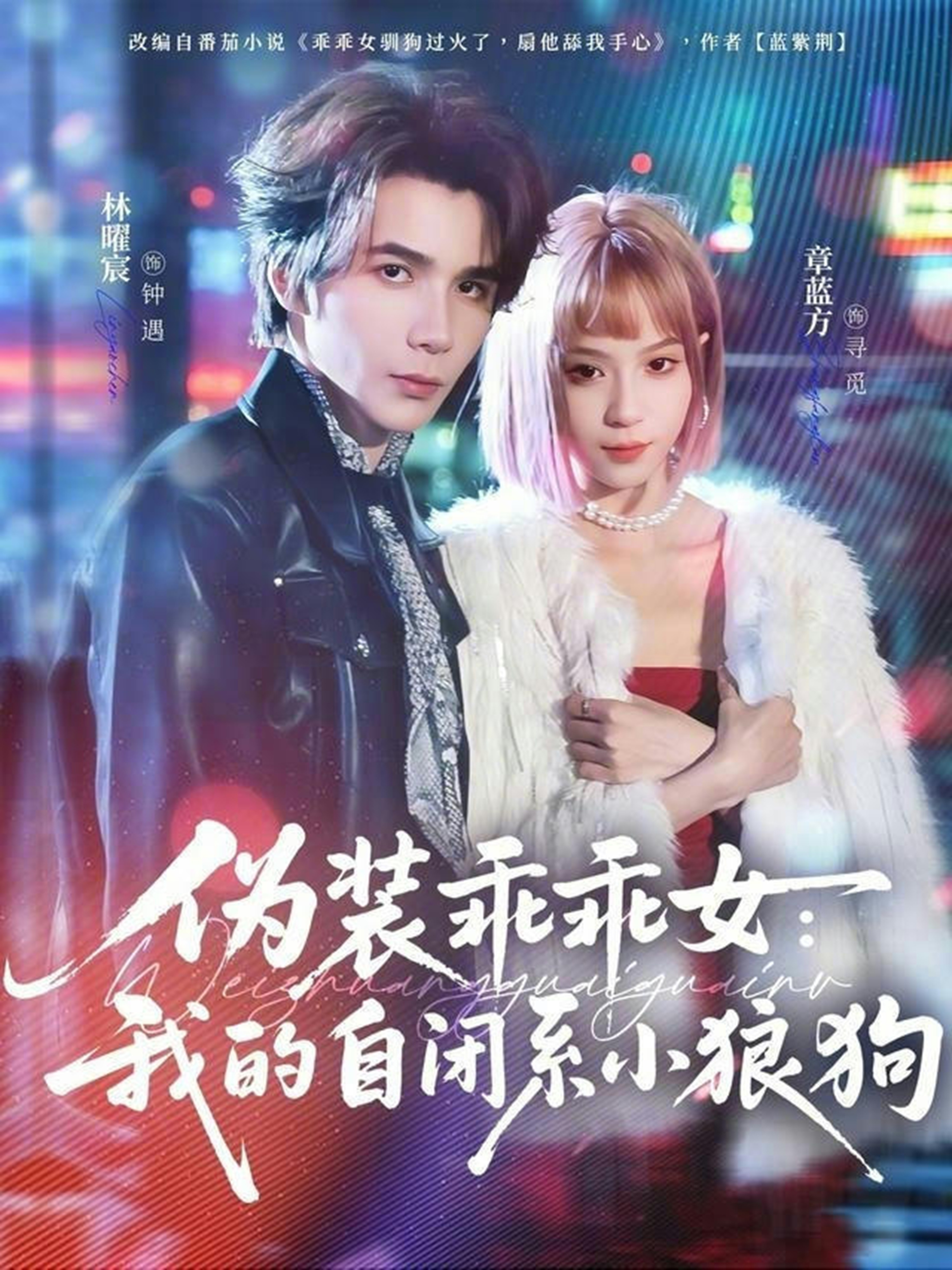 伪装乖乖女：我的自闭系小狼狗海报