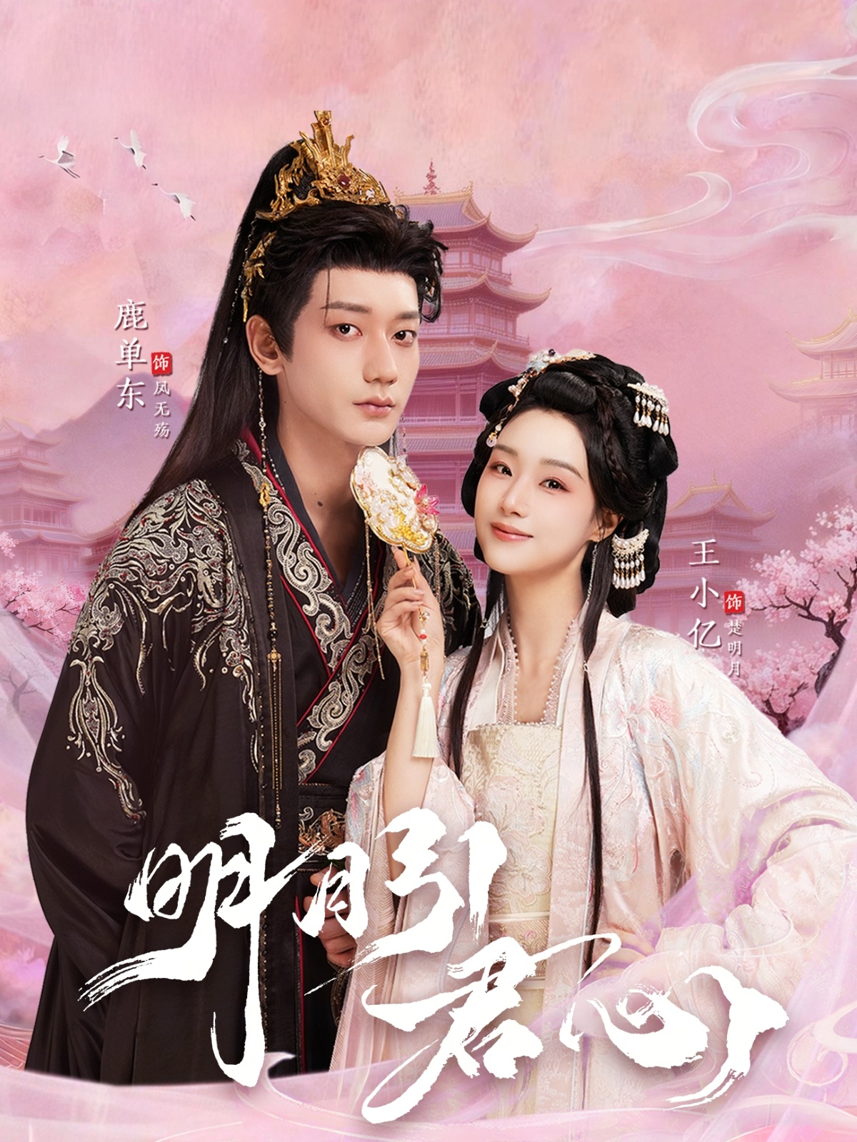 明月引君心海报