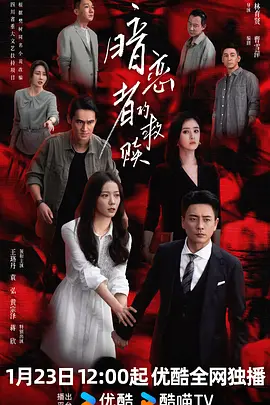 暗恋者的救赎海报
