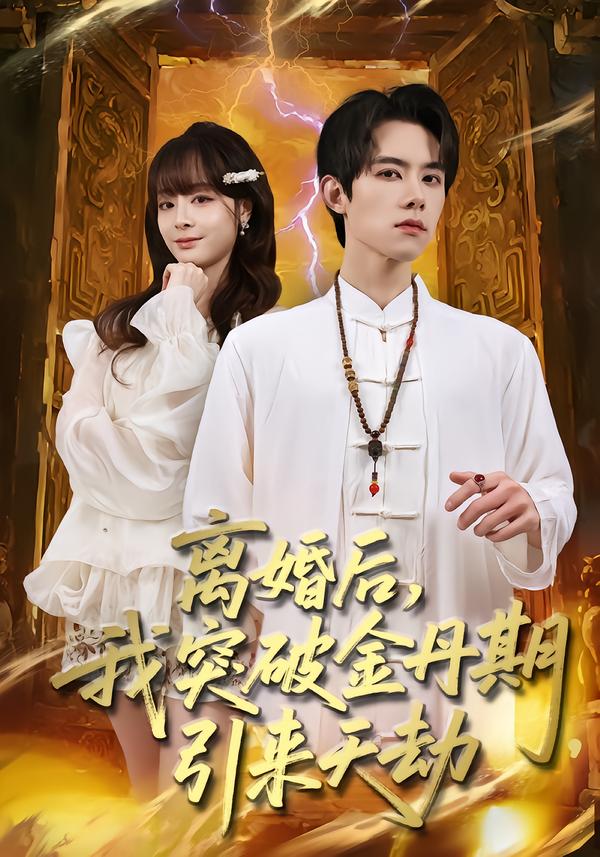 离婚后，我突破金丹期，引来天劫海报