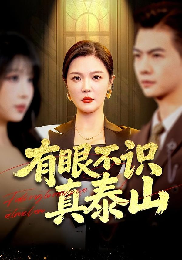 有眼不识真泰山海报
