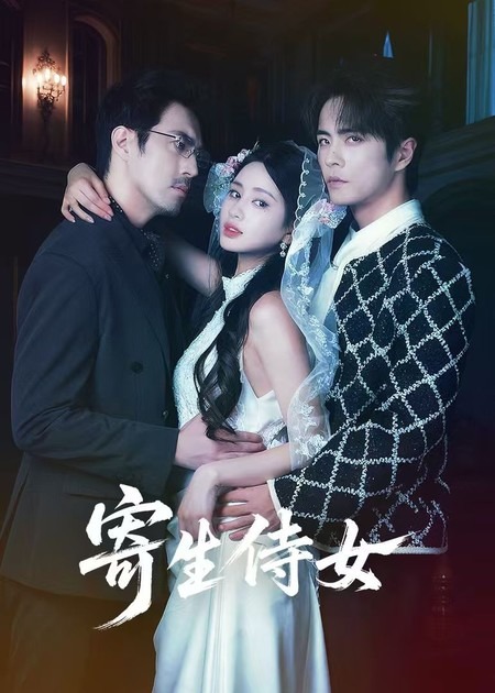 寄生侍女海报