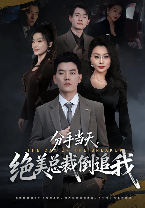分手当天，绝美总裁倒追我海报