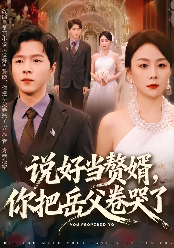 说好当赘婿，你把岳父卷哭了海报
