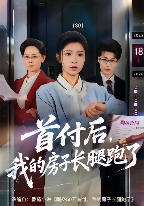 首付后，我的房子长腿跑了海报