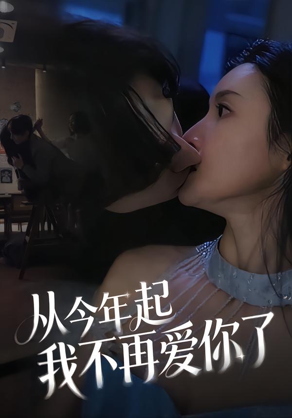 从今年起我不再爱你了海报