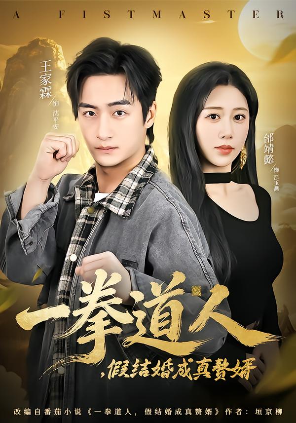 一拳道人，假结婚成真赘婿海报