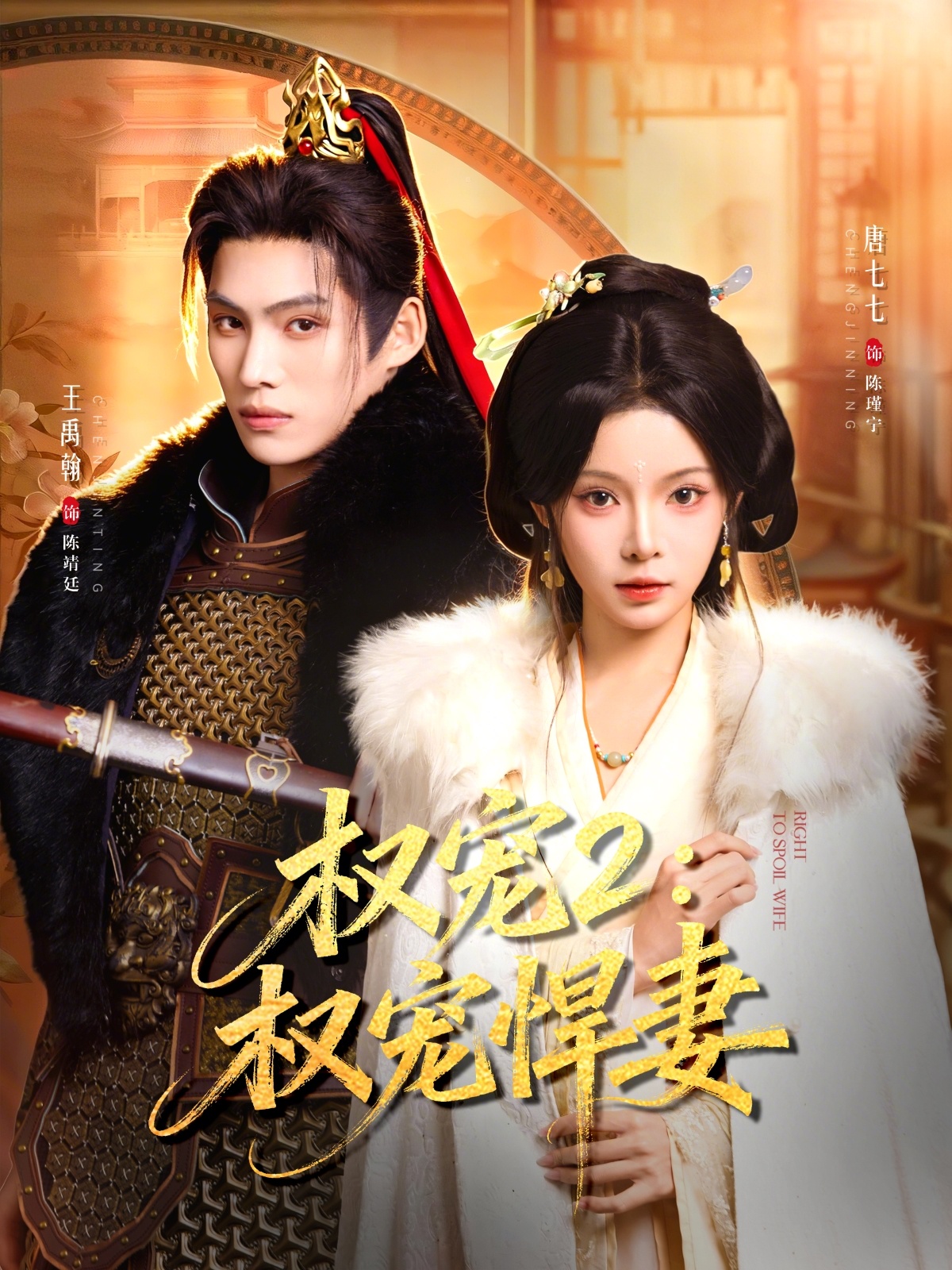权宠2：权宠悍妻海报
