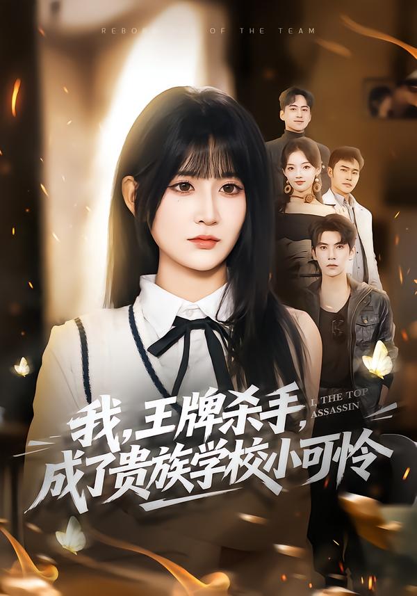 我，王牌杀手，成了贵族学校小可怜海报