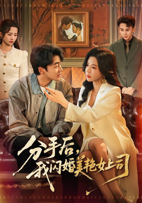 分手后，我闪婚美艳女上司海报