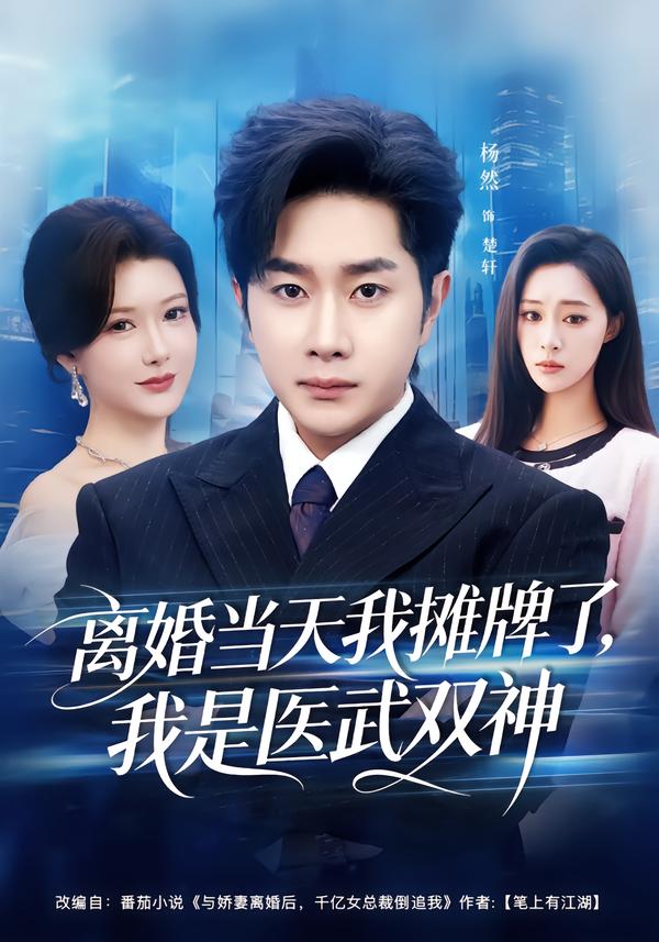 离婚当天我摊牌了，我是医武双神海报