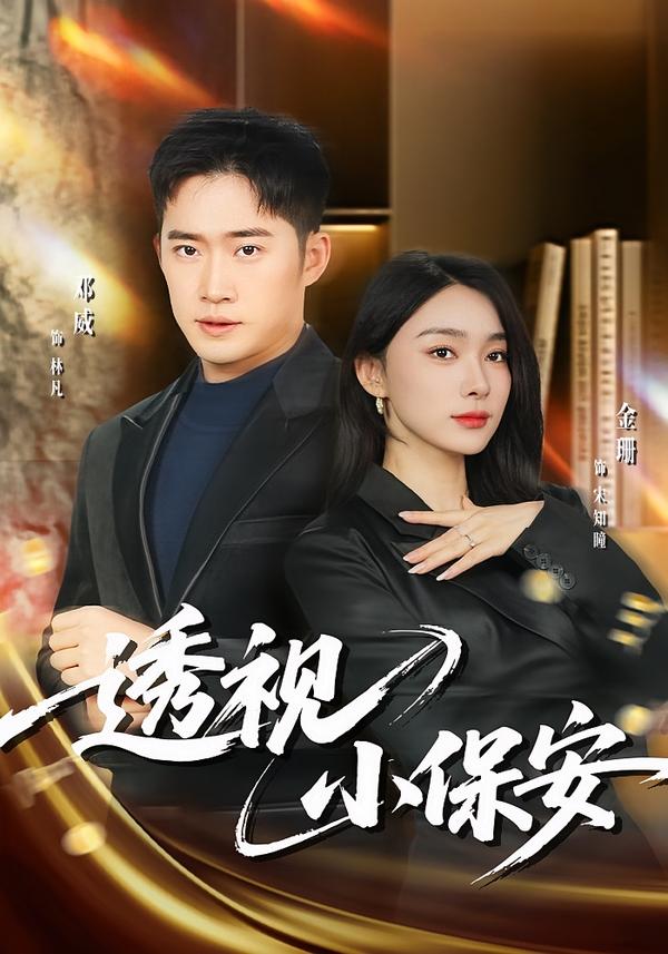 透视小保安海报