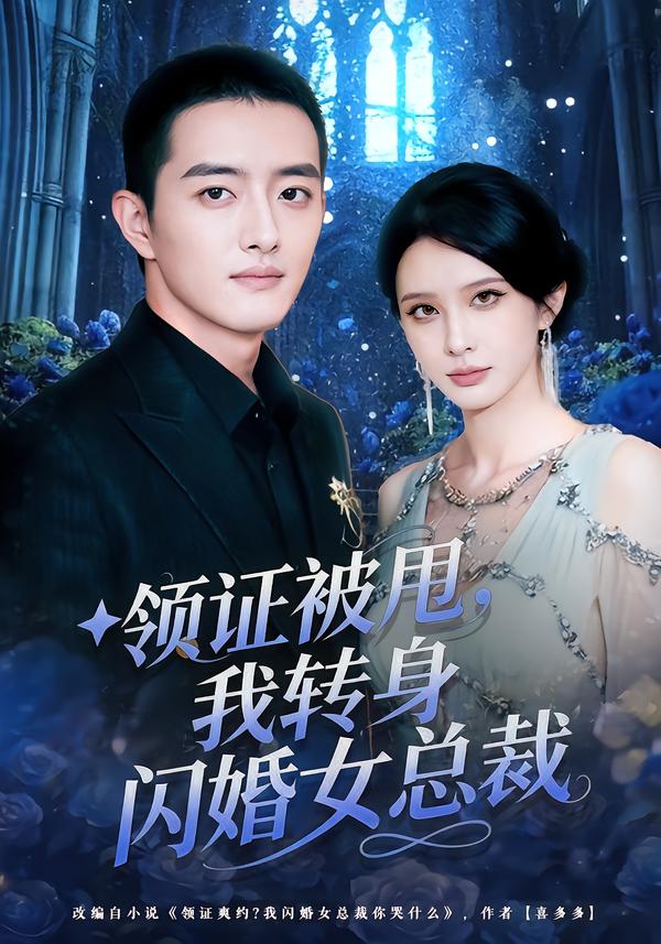 领证被甩，我转身闪婚女总裁海报