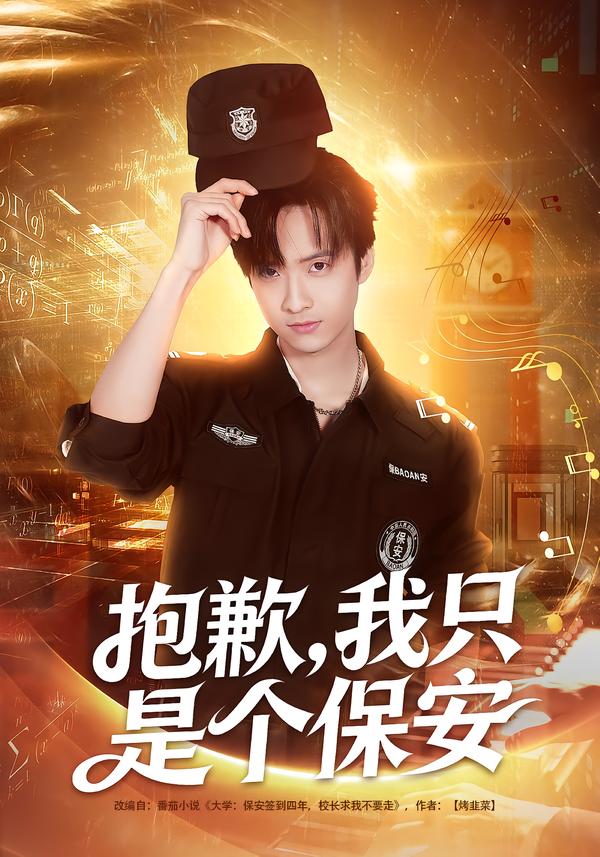 抱歉，我只是个保安海报
