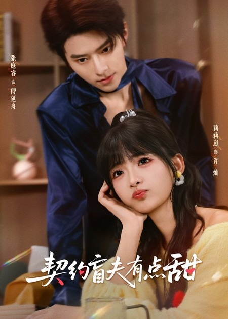 契约盲夫有点甜海报