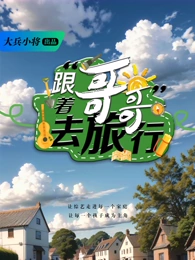 跟着哥哥去旅行海报