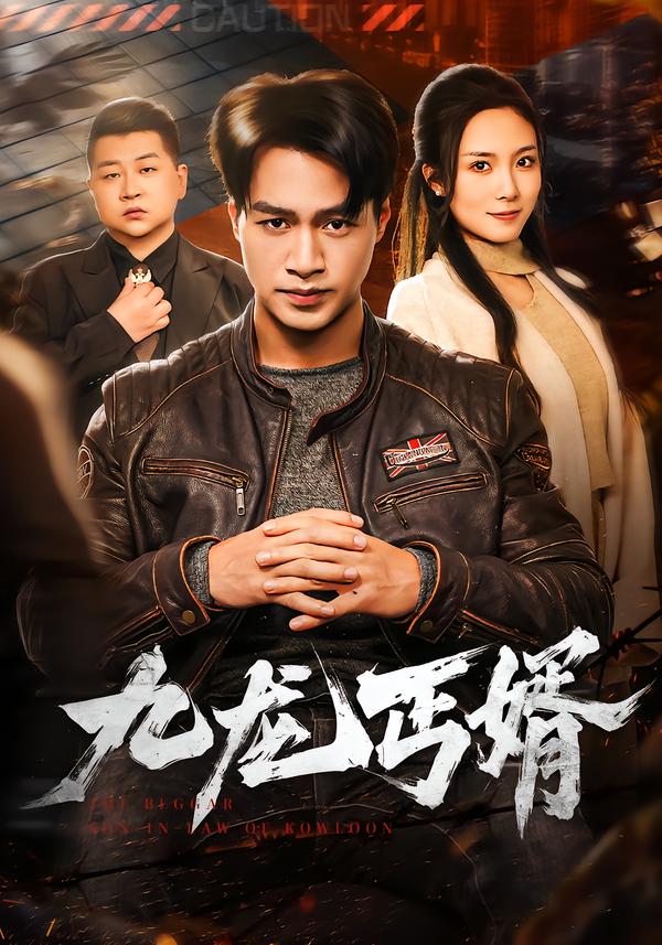 九龙丐婿海报