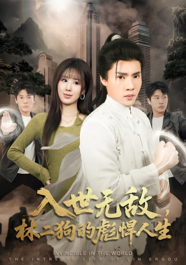入世无敌，林二狗的彪悍人生海报