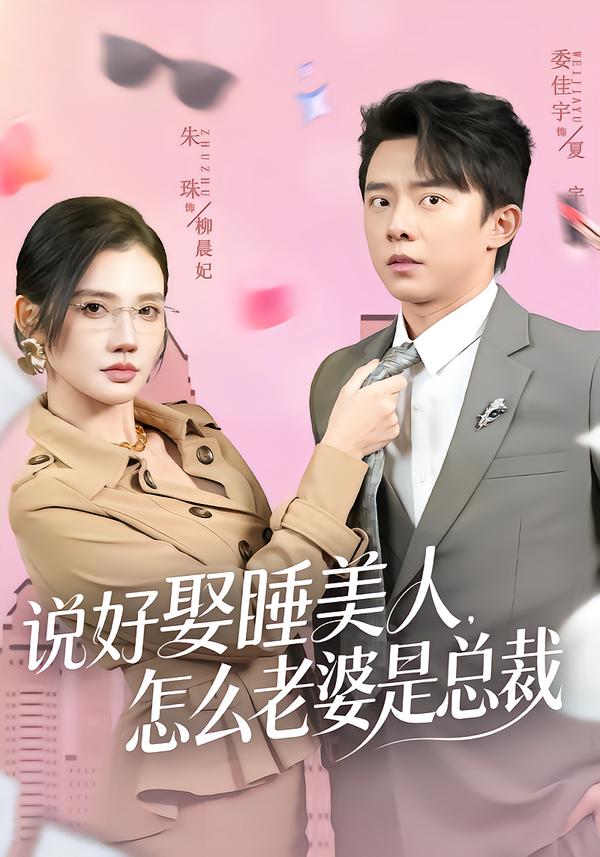 说好娶睡美人，怎么老婆是总裁海报
