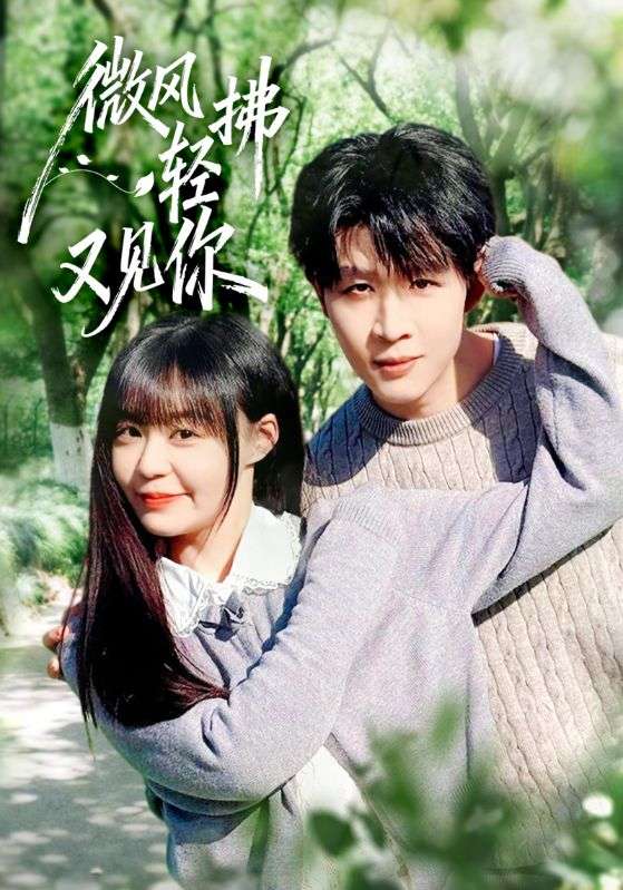 微风轻拂又见你海报