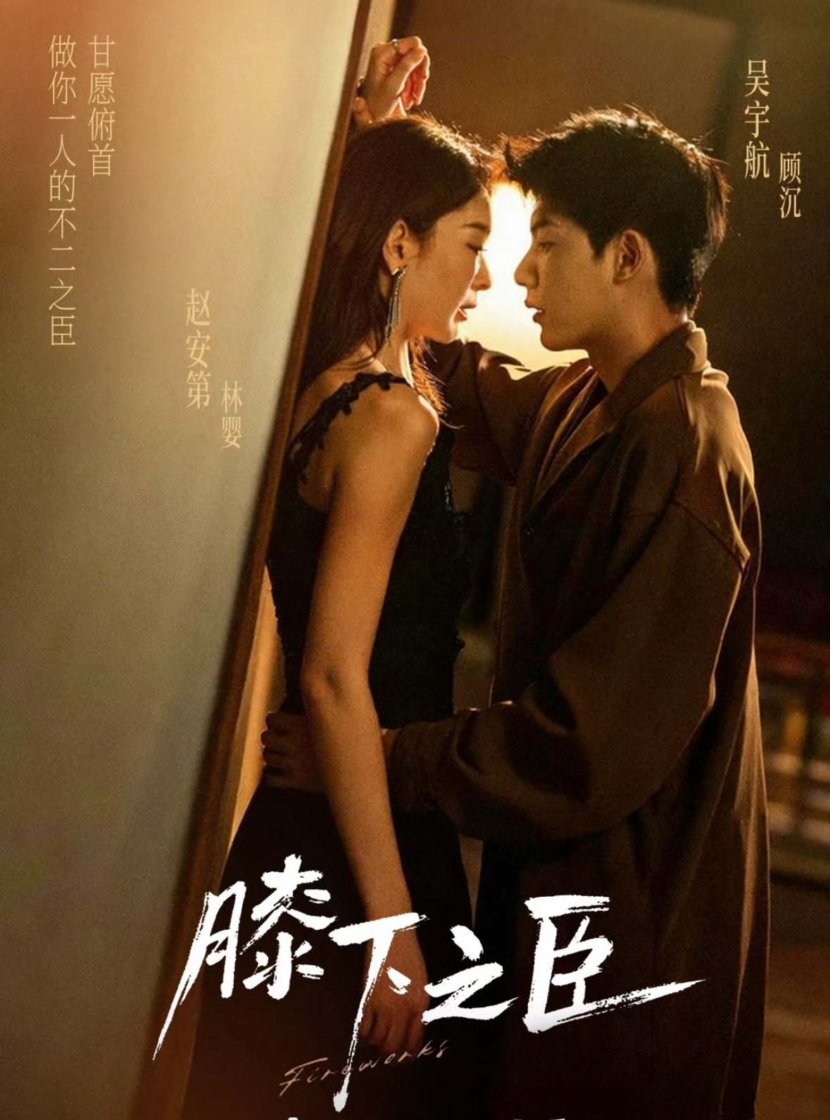 膝下之臣海报