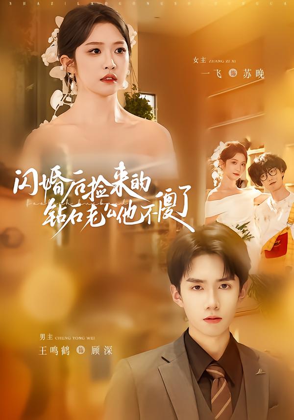 闪婚后捡来的钻石老公他不傻了海报