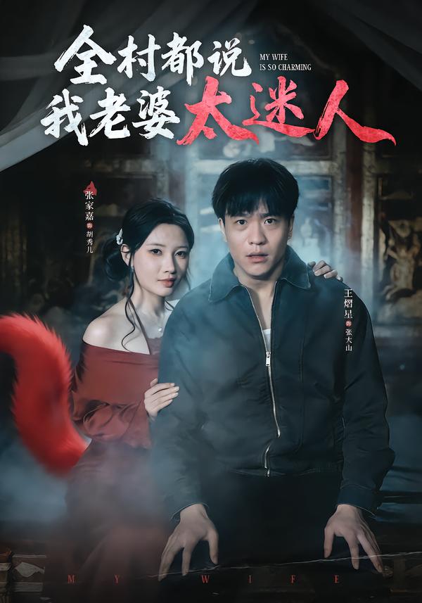全村都说我老婆太迷人海报