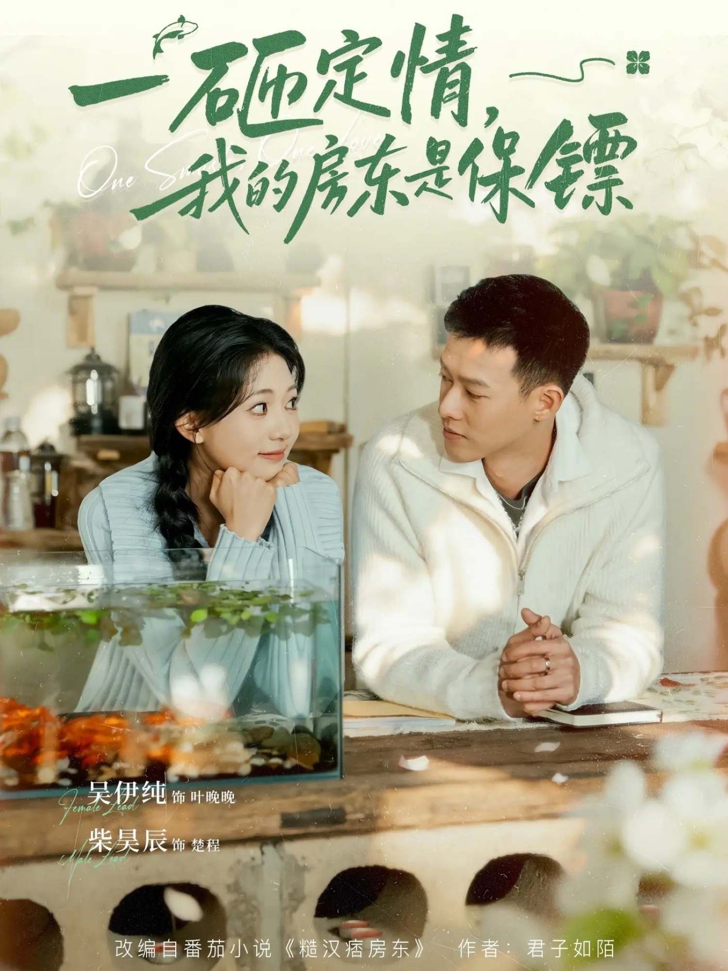 一砸定情，我的房东是保镖海报