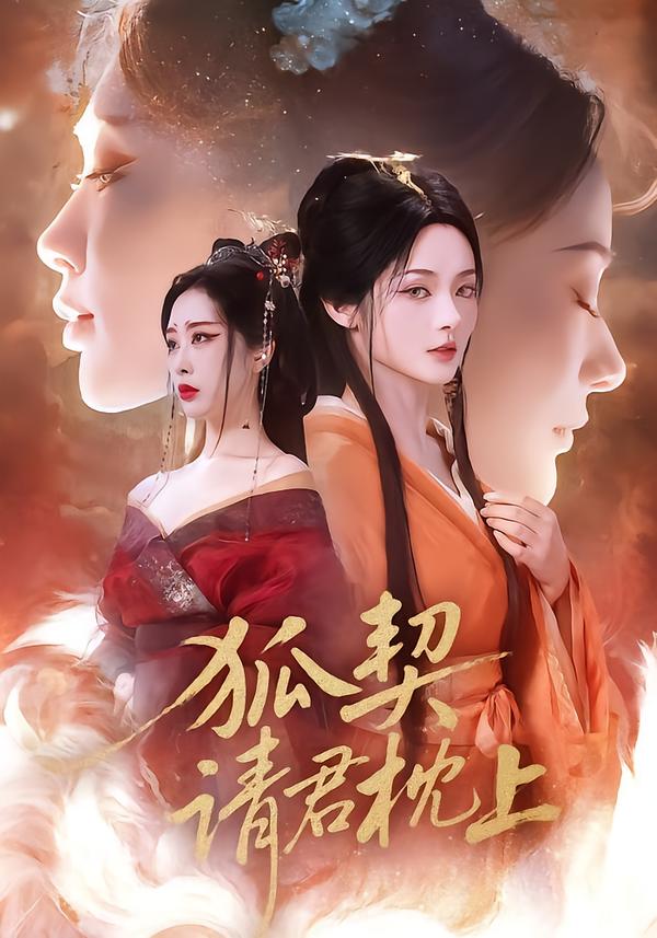狐契：请君枕上海报